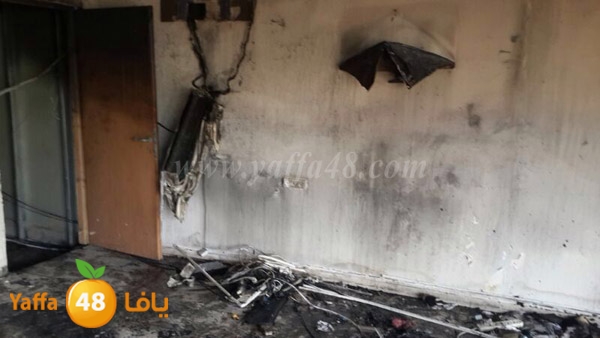 zahrat afra7 lud 0516 (6).JPG